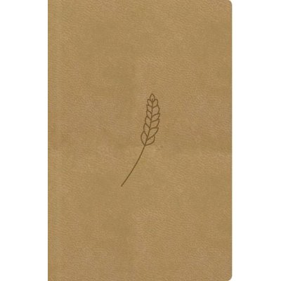 Bible21 kapesní Honey – Hledejceny.cz
