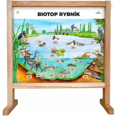 Lesní svět Stolní biotop s magnety Rybník – Hledejceny.cz
