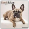 Kalendář French Bulldog Französische Bulldoggen 16-Monats 2024