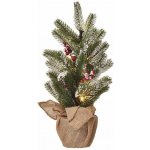 Emos LED vánoční stromek zasněžený 52 cm DCTW04 – Hledejceny.cz