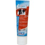 Bogadent Zubní pasta pro psy Dental Creme Mint 100 g – Zbozi.Blesk.cz