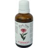 Doplněk stravy Herba Vitalis Echinacea purpurea 40 ml