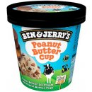 Ben & Jerry's Peanut Butter Cup zmrzlina 465 ml