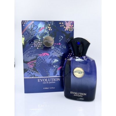 Zimaya Evolution parfémovaná voda unisex 100 ml – Hledejceny.cz