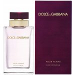 Dolce & Gabbana parfémovaná voda dámská 100 ml – Zbozi.Blesk.cz