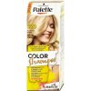 Barva na vlasy Pallete Color Shampoo 320/12-0 zesvětlovač