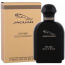 Parfém Jaguar Gold In Black toaletní voda pánská 100 ml