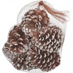 Euro Habitat Velké šišky k dekorování přírodní, pytel 10 cm Bílá – Zboží Mobilmania