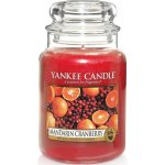 Yankee Candle Mandarin Cranberry 623 g – Zbozi.Blesk.cz