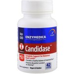 Enzymedica Candidase 42 kapslí – Hledejceny.cz