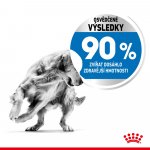 Royal Canin Maxi Light Weight Care 10 kg – Hledejceny.cz
