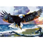 Norimpex Diamantové malování Orel 30 x 40 cm – Sleviste.cz