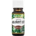Saloos esenciální olej JABLOŇOVÝ KVĚT 10 ml – Hledejceny.cz