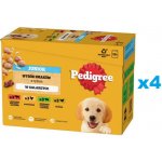 Pedigree Junior v želé s kuřecím jehněčím drůbežím a hovězím masem 48 x 100 g – Hledejceny.cz