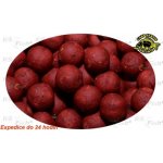 Carp Servis Václavík Boilies 2 Speciál 200 g 16 mm játra vanilka – Hledejceny.cz