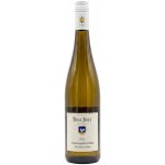 Toni Jost Riesling Bacharacher Hahn trocken Mittelrhein 2023 0,75 l (holá láhev) – Hledejceny.cz