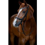 HorseGuard Uzdečka anatomická Level černá – Zboží Dáma