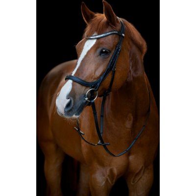 HorseGuard Uzdečka anatomická Level černá – Zboží Dáma