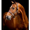 Ohlávky a vodítka pro koně Horseware Ohlávka kožená Signature hnědá