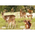 Reas Pack Sešit 540 A5 nelinkovaný 40l 3D MIX – Hledejceny.cz