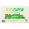 Žvýkačka Xylichew Spearmint 12 x 15,6 g