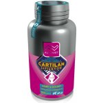 Altervet Cartilan InflaStop 100 tbl – Zboží Dáma