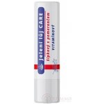 REGINA Jelení lůj Care šípkový s pomerančem vitamínový 4,5 g – Zboží Mobilmania