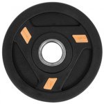 inSPORTline Herk Pogumovaný kotouč 1,25 kg 30mm – Zboží Dáma