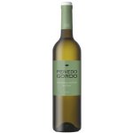 Quinta das Arcas Penedo Gordo Branco 2023 13% 0,75 l (holá láhev) – Hledejceny.cz