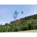 Tandem paragliding