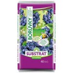 Forestina Standard substrát Borůvky a ostatní kyselomilné rostliny 40 l – Zboží Dáma