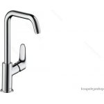 Hansgrohe 31519000 – Hledejceny.cz