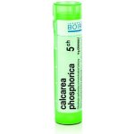 CALCAREA PHOSPHORICA POR 5CH GRA 1X4G – Hledejceny.cz