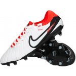 Nike LEGEND 10 PRO FG dv4333-100 – Zboží Dáma