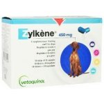 ZYLKENE 450 mg 100 tbl – Zboží Mobilmania