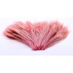 Hends Paví Peří Peacock Eye Pink – Hledejceny.cz