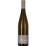 Braun Riesling Individuell 2024 13% 0,75 l (holá láhev) – Hledejceny.cz