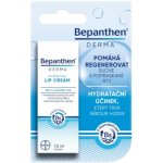 Bepanthen Derma krém na rty 7.5 ml – Hledejceny.cz