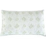 B.E.S Petrovice Visco polštář luxury Aloe Vera taška 45x75 – Hledejceny.cz