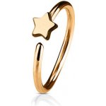 Šperky4U zlacený iercing do nosu ucha kruh s hvězdou N0053-RD – Zboží Dáma