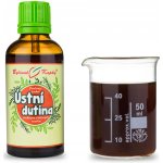 Pavlovy bylinné kapky Bylinné kapky Ústní dutina tinktura 50 ml – Hledejceny.cz