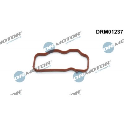DRM01237 DR.MOTOR AUTOMOTIVE Těsnění, koleno sacího potrubí – Hledejceny.cz