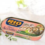 Rio mare Grilované filety z makrely v extra panenském oleji 120 g – Zboží Dáma