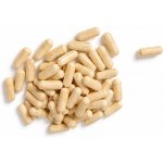 Krmiva Hulín Fosfatidilserin 50% kapsle 500 mg 150 tbl – Hledejceny.cz