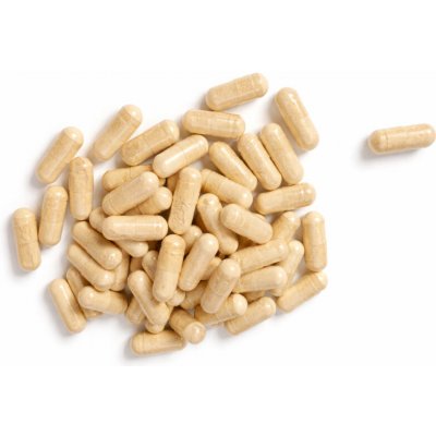 Krmiva Hulín Fosfatidilserin 50% kapsle 500 mg 150 tbl – Hledejceny.cz