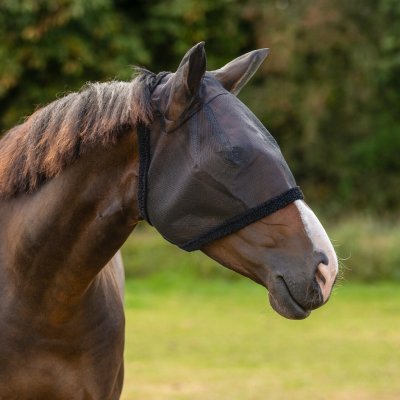 Q ESSENTIALS Maska proti hmyzu black – Hledejceny.cz
