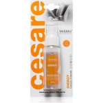 Mr&Mrs Fragrance Cesare Spray Energy – Zboží Mobilmania