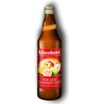 Rabenhorst Pro zdravou žízeň 750 ml – Hledejceny.cz
