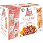 Brit Care Cat Fillet in Gravy krůta kachna losos a kuře 12 x 85 g – Sleviste.cz