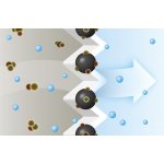 BOSCH BBZAFGALL 4 ks – Hledejceny.cz